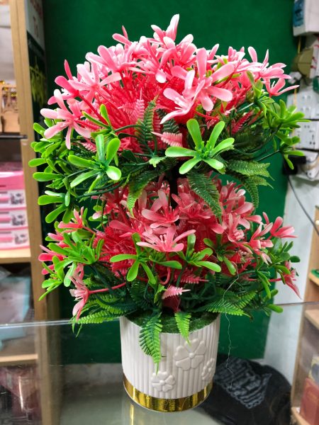 ঝাক ফুল- Jack Flower