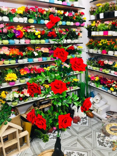 গোলাপ ফুল - Rose Flower